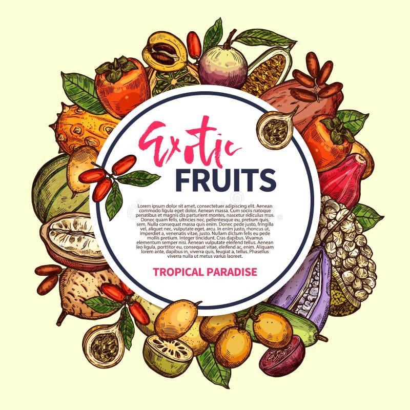 Frutas exóticas y marco tropical de las bayas libre illustration Frutas exóticas y marco tropical de las bayas libre illustration