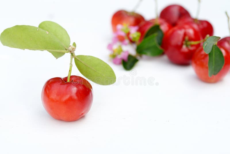 Fruto brasileiro do Acerola fotos de stock Fruto brasileiro do Acerola fotos de stock