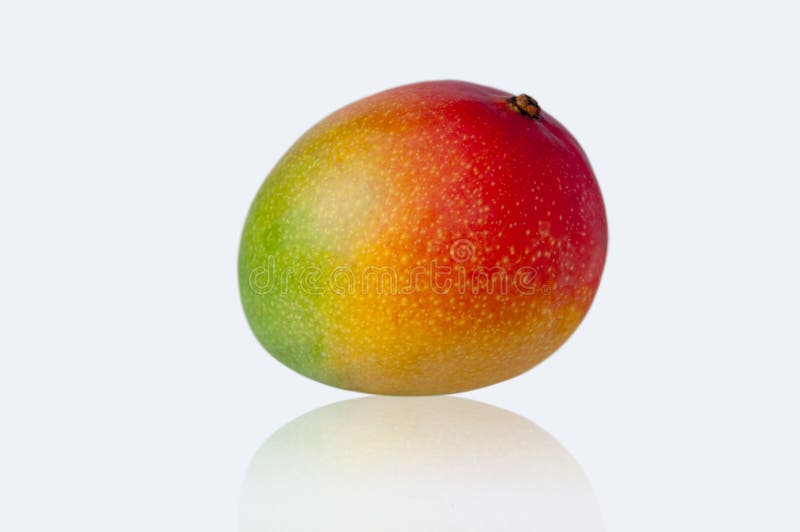 Fruto de Taiwan, fruto tropical, manga fresca, foto de stock Fruto de Taiwan, fruto tropical, manga fresca, foto de stock