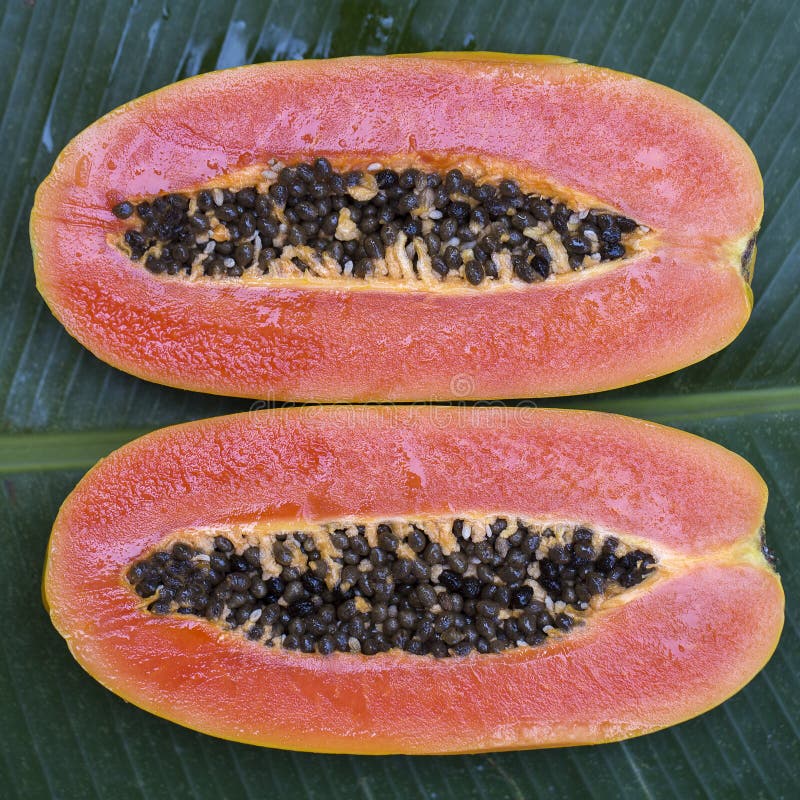 Fruto Tropical Fresco Em Espetos Na Placa Branca - Café Da Manhã Saudável,  Conceito Da Perda De Peso Tailândia Foto de Stock - Imagem de uvas,  abacaxi: 115645152