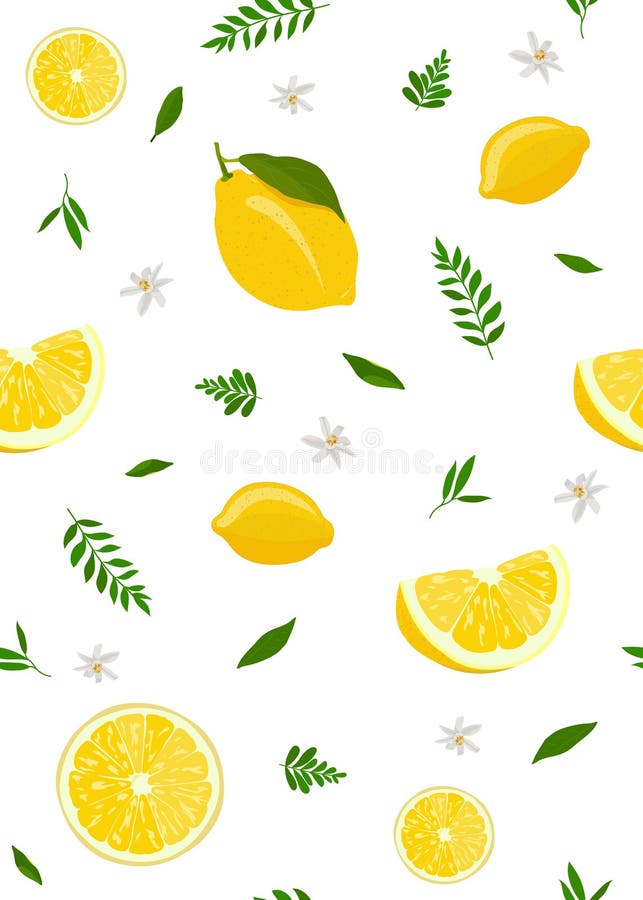 Frutos do limão e teste padrão sem emenda da fatia com as folhas bonitos no fundo branco Lim?es e cal ilustração stock Frutos do limão e teste padrão sem emenda da fatia com as folhas bonitos no fundo branco Lim?es e cal ilustração stock