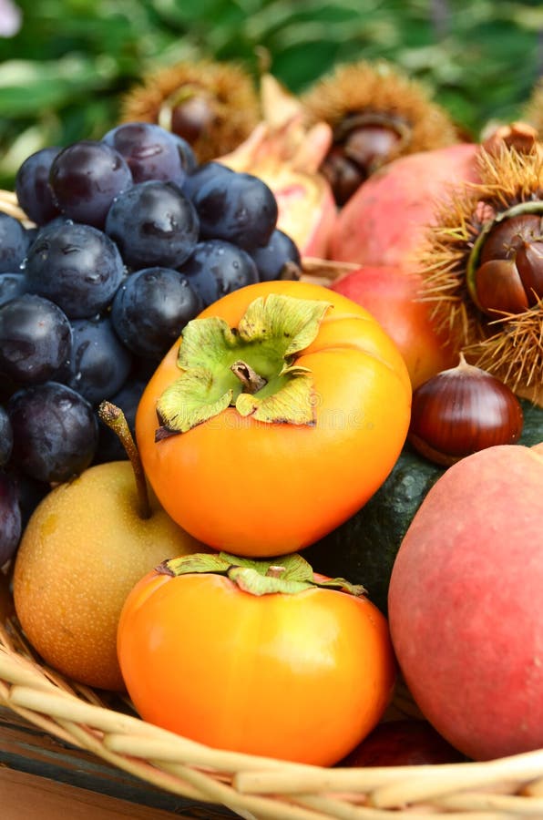 Frutos na cesta no outono foto de stock