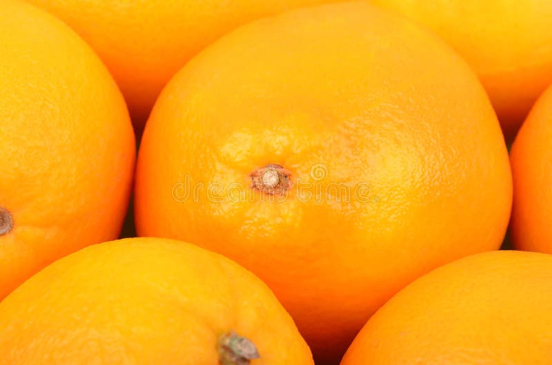 Frutta arancio, fine su fotografia stock. Immagine di esotico 63710198