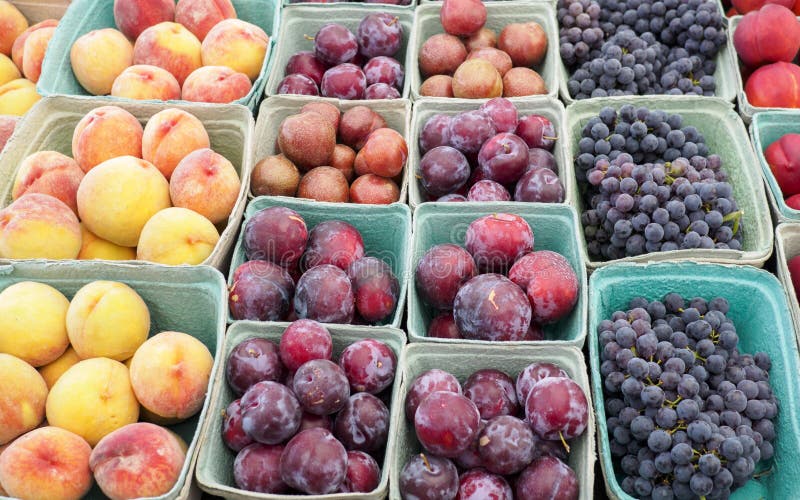 Frutta assortita ad una stalla del mercato del ` s dell'agricoltore compreso, alle pesche mature, alle prugne porpora e ad un'uva immagine stock libera da diritti Frutta assortita ad una stalla del mercato del ` s dell'agricoltore compreso, alle pesche mature, alle prugne porpora e ad un'uva immagine stock libera da diritti
