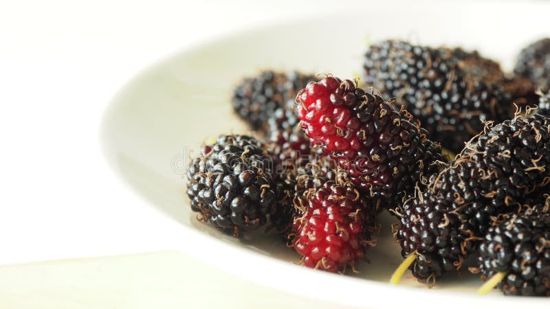 Frutta del gelso immagini stock libere da diritti Frutta del gelso immagini stock libere da diritti
