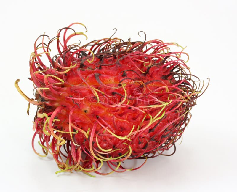 Frutto rambutan fotografia stock