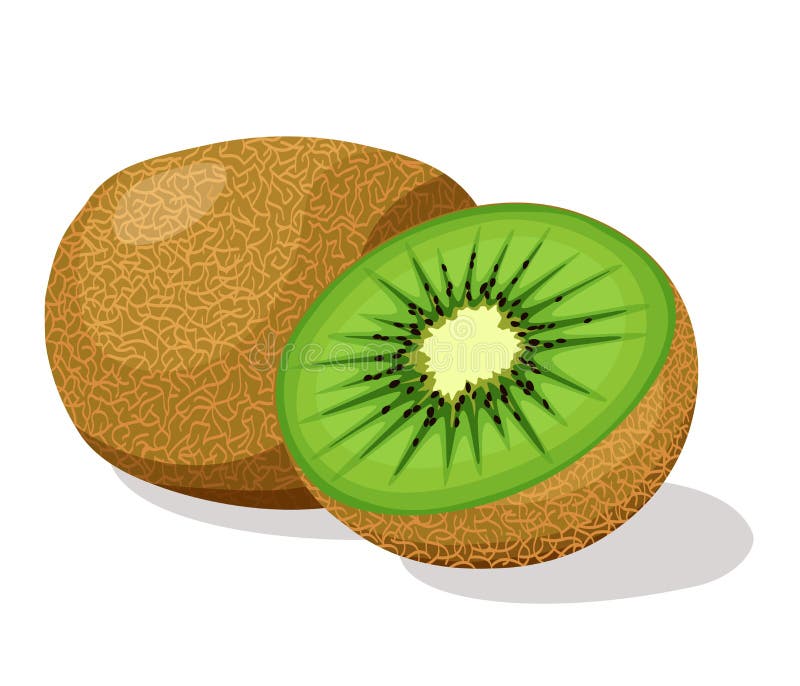 Frutta di Kiwi royalty illustrazione gratis