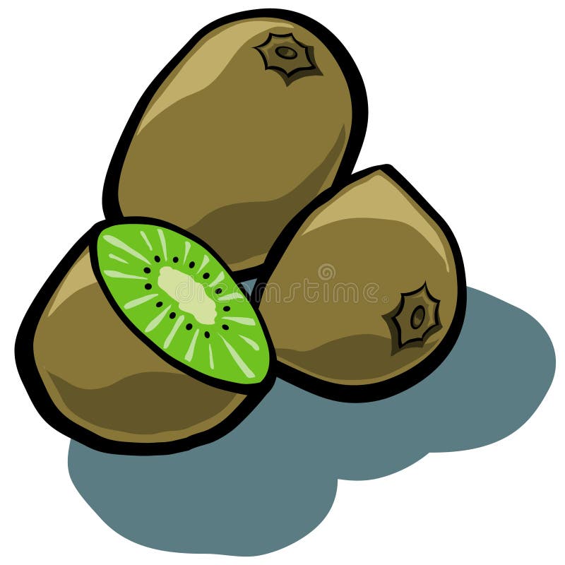 Frutta di Kiwi illustrazione di stock
