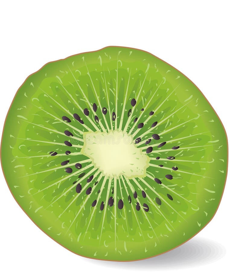 Frutta di Kiwi royalty illustrazione gratis