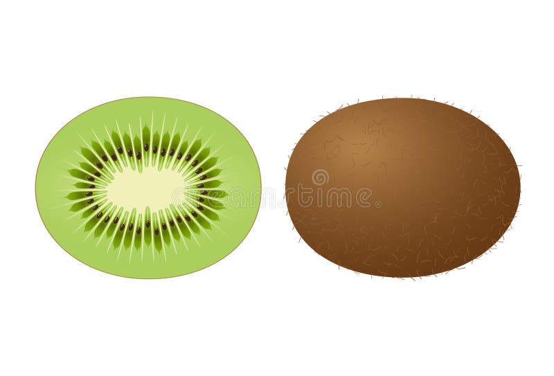 Frutta di Kiwi royalty illustrazione gratis