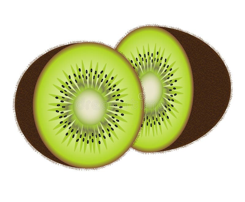 Frutta di kiwi di vettore royalty illustrazione gratis