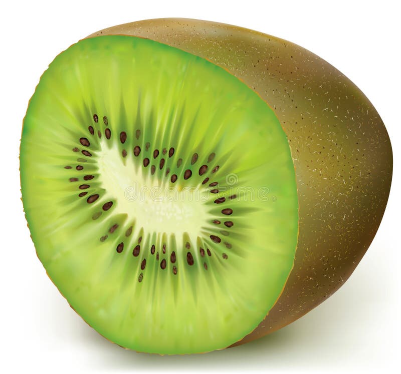 Frutta di Kiwi mezza illustrazione di stock