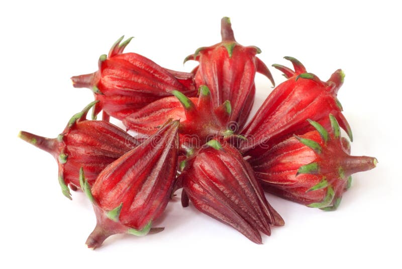 Frutta di sabdariffa o del roselle dell'ibisco fotografia stock libera da diritti Frutta di sabdariffa o del roselle dell'ibisco fotografia stock libera da diritti