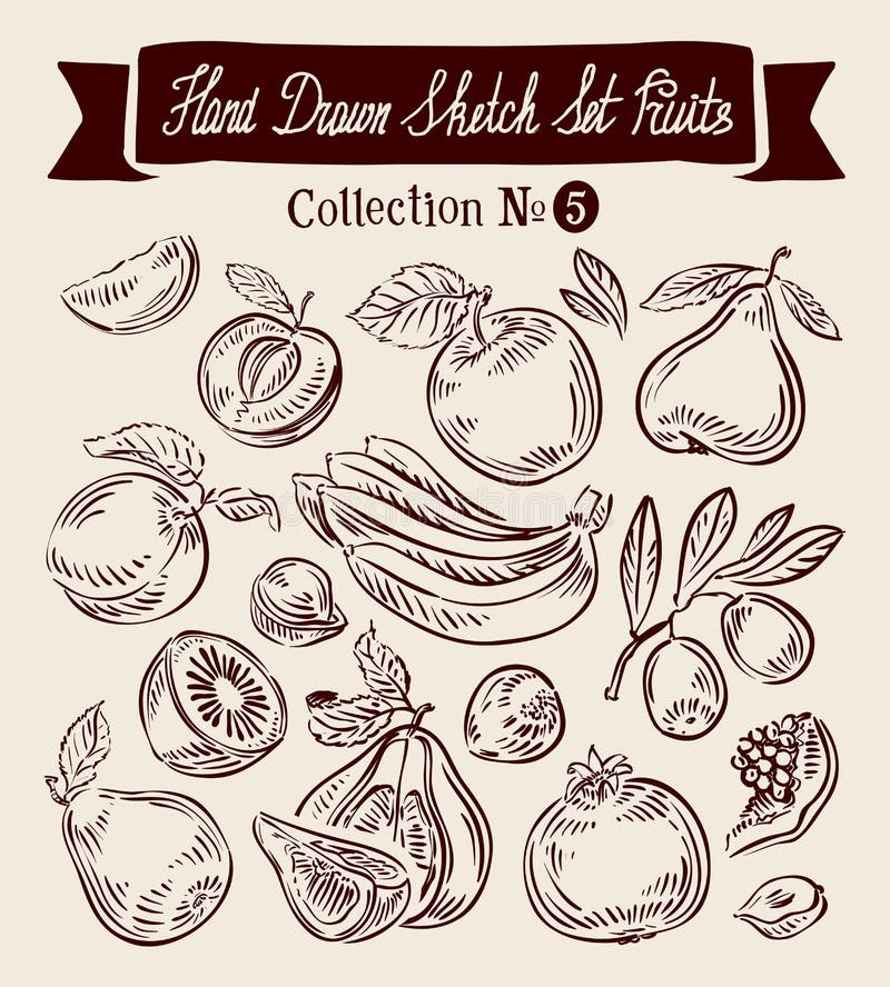 Frutta disegnata a mano della raccolta di schizzo di vettore illustrazione di stock Frutta disegnata a mano della raccolta di schizzo di vettore illustrazione di stock