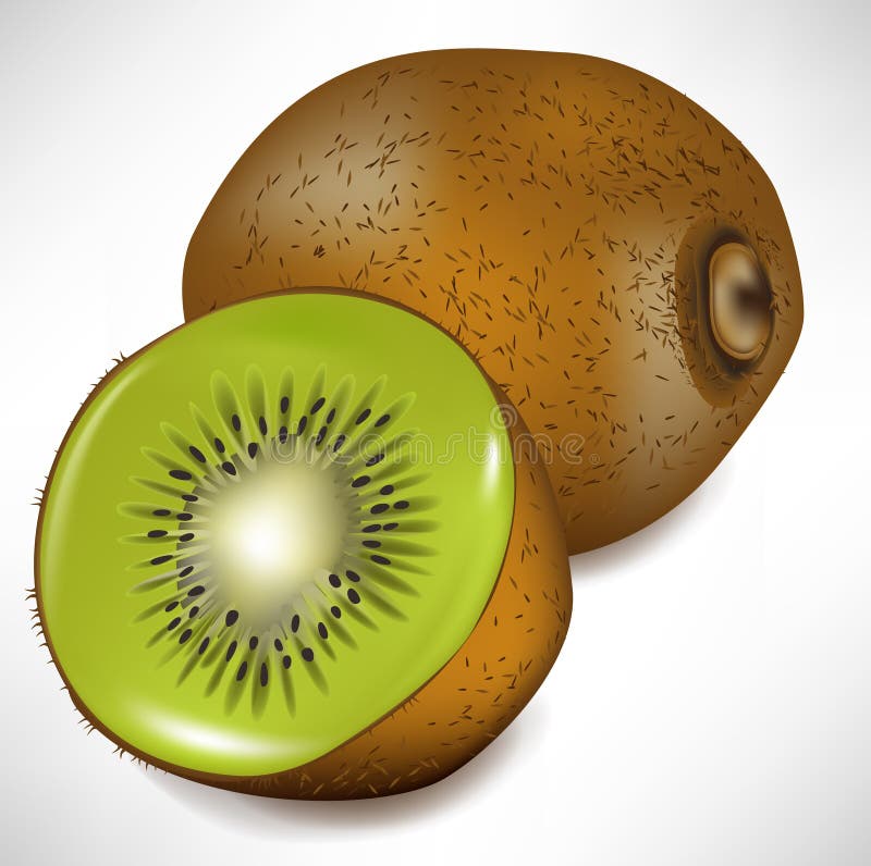 Frutta e fetta di Kiwi illustrazione di stock