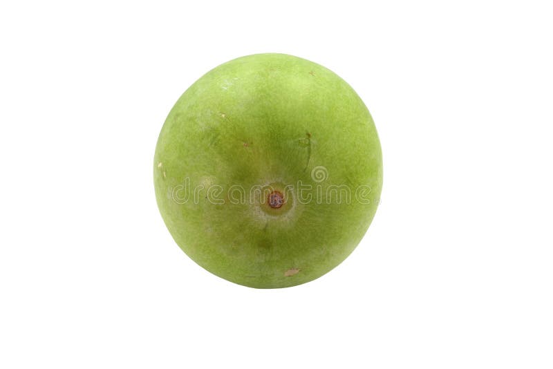 Frutta fresca del melone di inverno isolata su fondo bianco fotografia stock Frutta fresca del melone di inverno isolata su fondo bianco fotografia stock