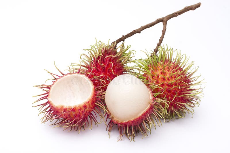 Frutta di rambutan fresco fotografie stock