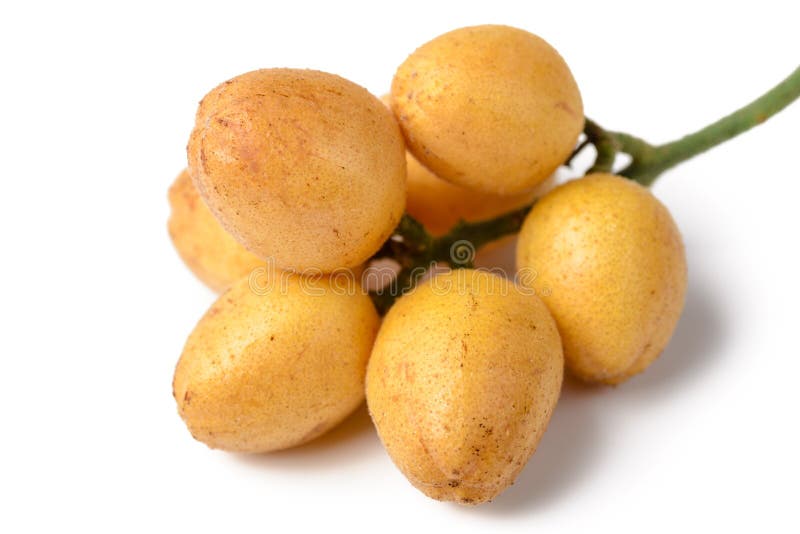 Frutta fresca di wampee fotografia stock libera da diritti Frutta fresca di wampee fotografia stock libera da diritti