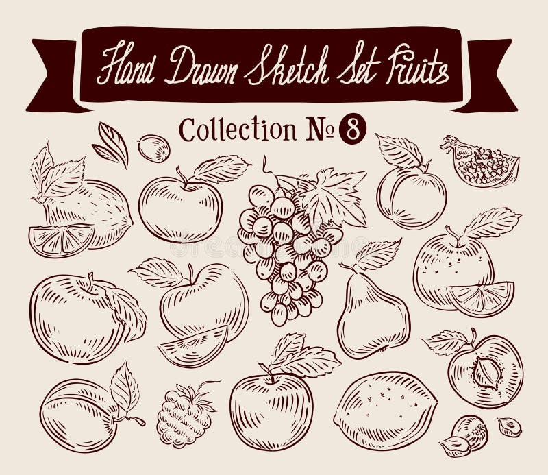 Frutta Illustrazione stabilita di vettore di schizzo disegnato a mano illustrazione di stock Frutta Illustrazione stabilita di vettore di schizzo disegnato a mano illustrazione di stock