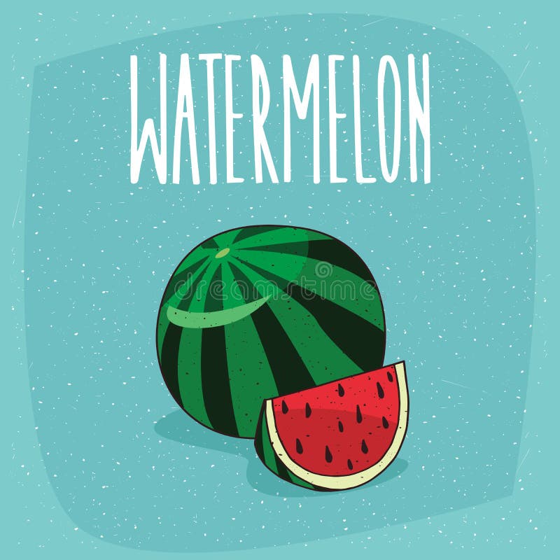 Frutta matura isolata dell'anguria e pezzo tagliato illustrazione vettoriale Frutta matura isolata dell'anguria e pezzo tagliato illustrazione vettoriale