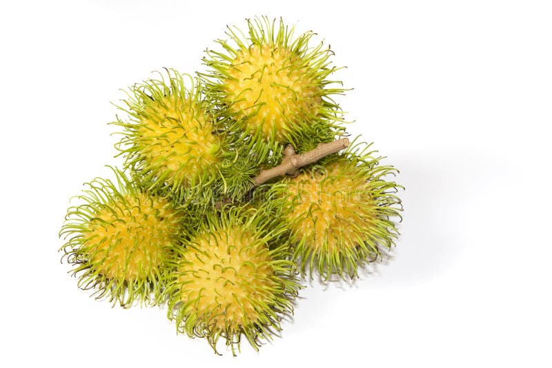 Frutti Tropicali di Rambutan Giallo immagine stock libera da diritti