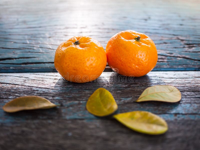 Frutti dell'arancia delle coppie immagini stock libere da diritti Frutti dell'arancia delle coppie immagini stock libere da diritti