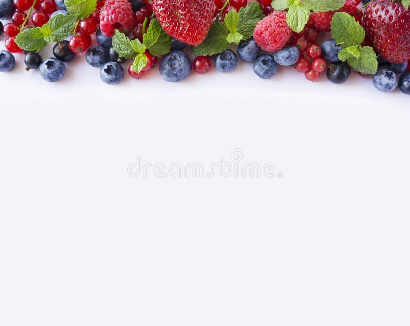frutti Nero-blu e rossi Ribes rosso, fragole, lamponi, mirtilli e ribes neri maturi su fondo bianco fotografia stock libera da diritti frutti Nero-blu e rossi Ribes rosso, fragole, lamponi, mirtilli e ribes neri maturi su fondo bianco fotografia stock libera da diritti