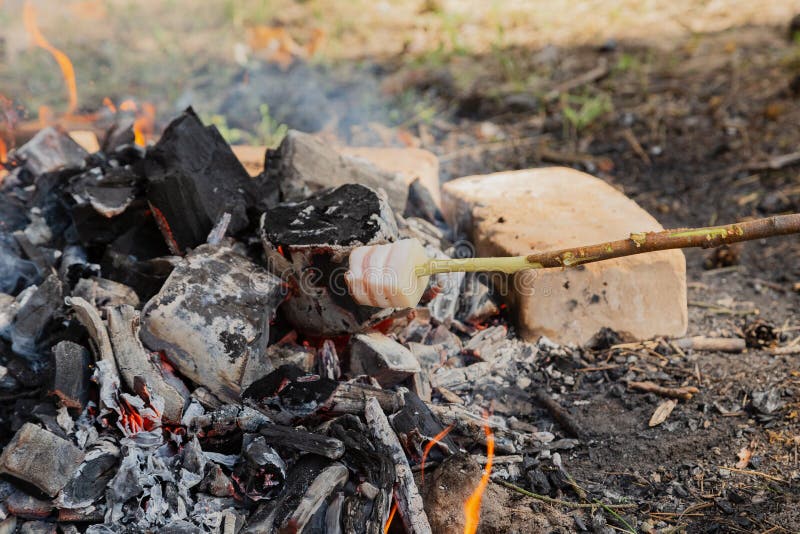 Fry Bacon on a Stake. Bacon Fry on Fire. Fat Fry in the Countryside