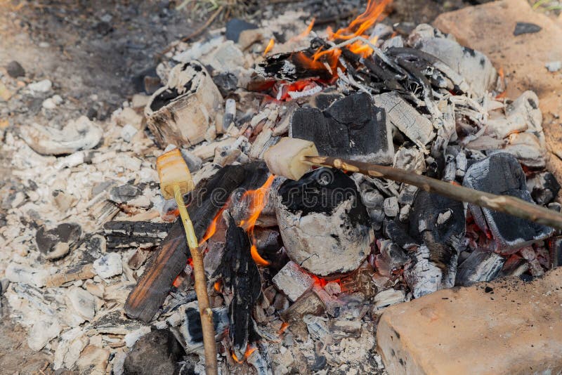 Fry Bacon on a Stake. Bacon Fry on Fire. Fat Fry in the Countryside