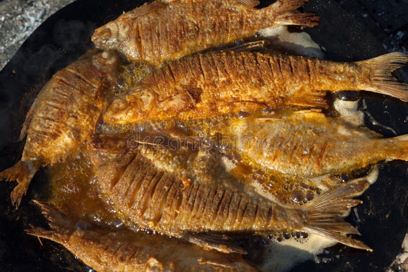 Fresh Fried Fish In A Frying Pan On The Cooker Stock Photo, Picture and  Royalty Free Image. Image 54798771.