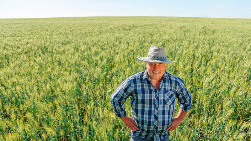 Fröhlicher reifer Landwirt im Agrarbereich stockbild