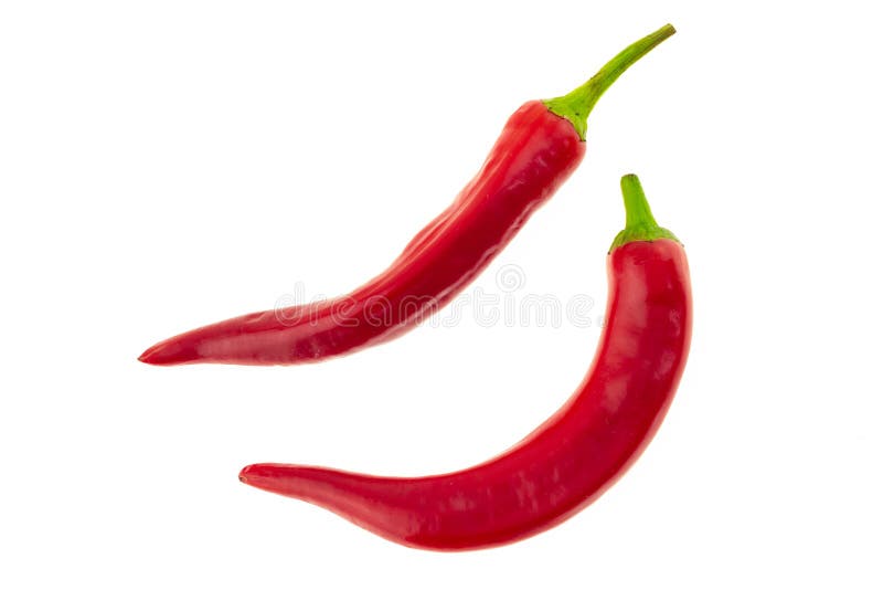 Fröskida för peppar för röd chili för par ljus lång vriden på vit isolerad kulinarisk bakgrund för bakgrund arkivbild Fröskida för peppar för röd chili för par ljus lång vriden på vit isolerad kulinarisk bakgrund för bakgrund arkivbild