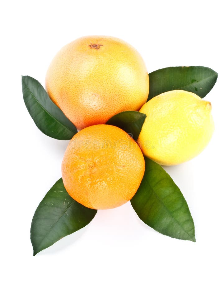 Früchte mit grünen Blättern lizenzfreies stockbild Früchte mit grünen Blättern lizenzfreies stockbild