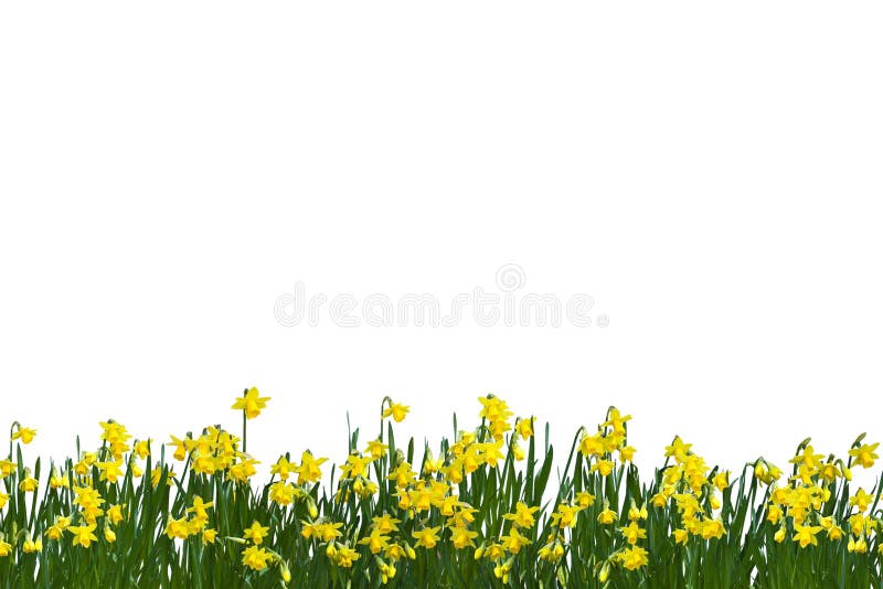 Frühjahr stockfoto Frühjahr stockfoto