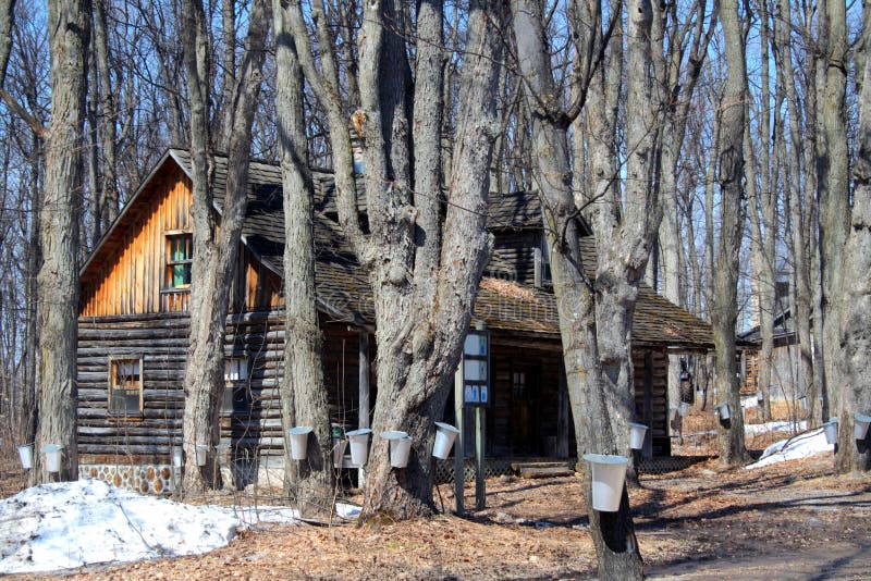 During Spring, maple syrup season. During Spring, maple syrup season.