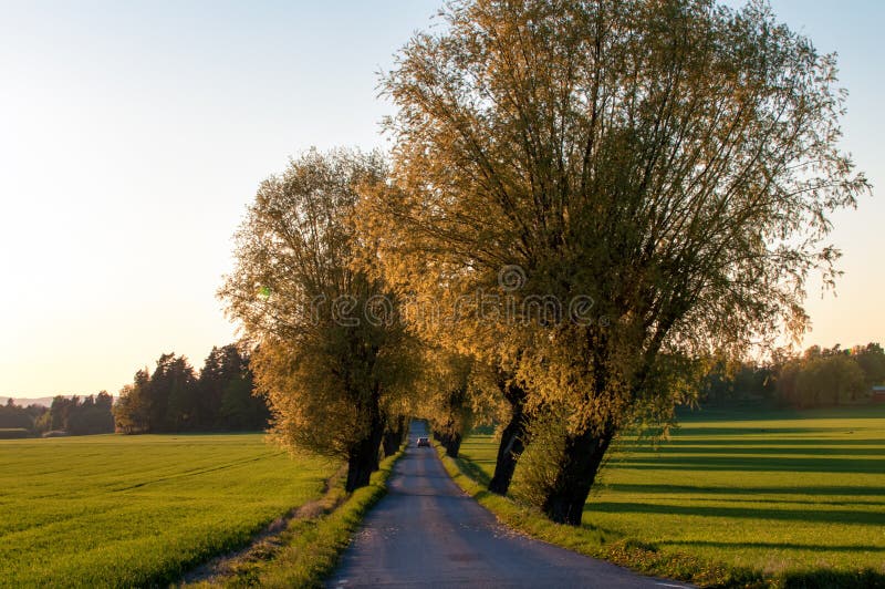 Frühling in Schweden lizenzfreies stockbild Frühling in Schweden lizenzfreies stockbild