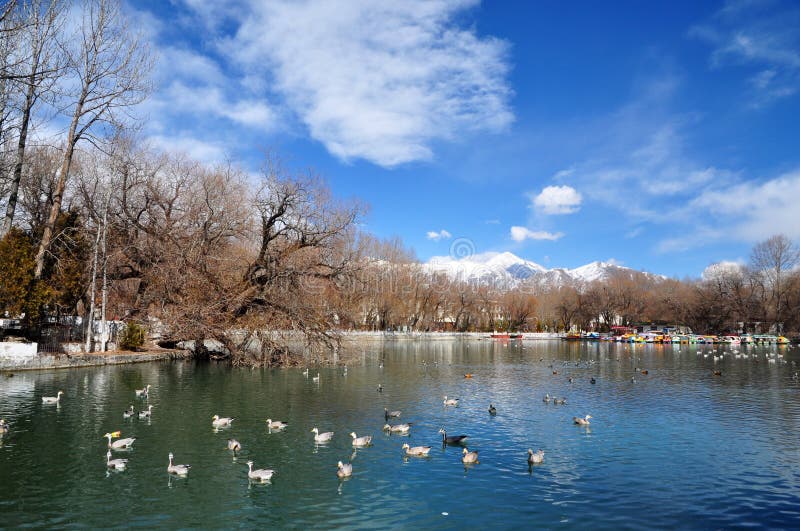 Zong-jiao-lu-kang Park, located in the north of the Potala, in the center of Lhasa city, Tibet, China. The place is considered as important part of Potala. And many Dalai expanded it in history.Now it is a park opened for citizen. Zong-jiao-lu-kang Park, located in the north of the Potala, in the center of Lhasa city, Tibet, China. The place is considered as important part of Potala. And many Dalai expanded it in history.Now it is a park opened for citizen.