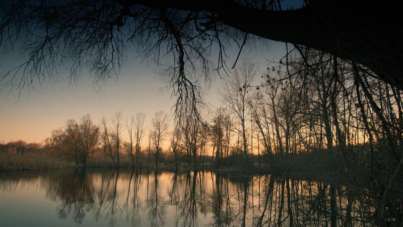 Frühlingsabendwald und -see lizenzfreie stockfotos Frühlingsabendwald und -see lizenzfreie stockfotos