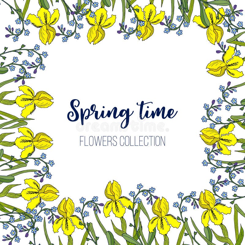 Frühlingsblumen Iris und Vergissmeinnichtrahmen stock abbildung Frühlingsblumen Iris und Vergissmeinnichtrahmen stock abbildung