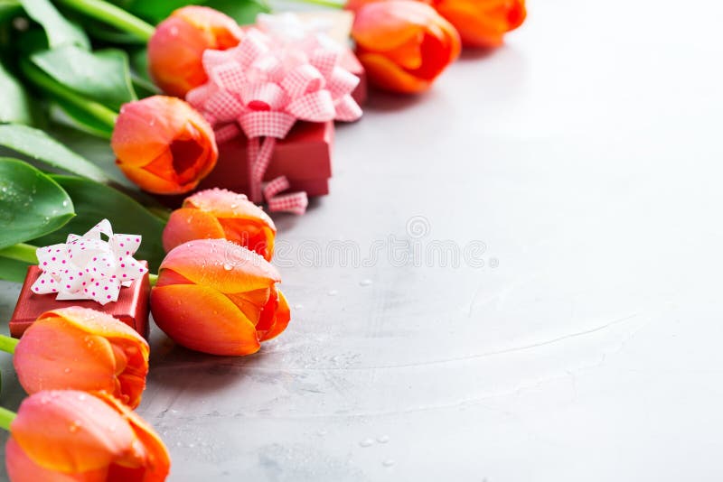 Frühlingshintergrund mit orange Tulpen Frauen, Muttertag, Grußkarte lizenzfreies stockfoto Frühlingshintergrund mit orange Tulpen Frauen, Muttertag, Grußkarte lizenzfreies stockfoto