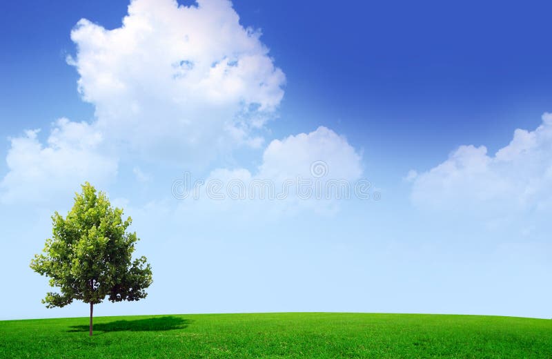 Frühlingslandschaft stockfoto Frühlingslandschaft stockfoto