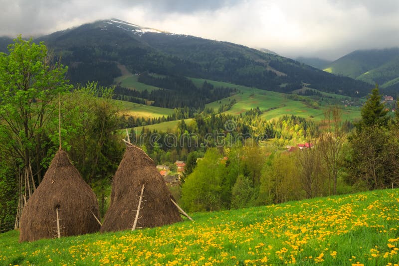 Frühlingslandschaft in den Karpatenbergen stockfotos Frühlingslandschaft in den Karpatenbergen stockfotos
