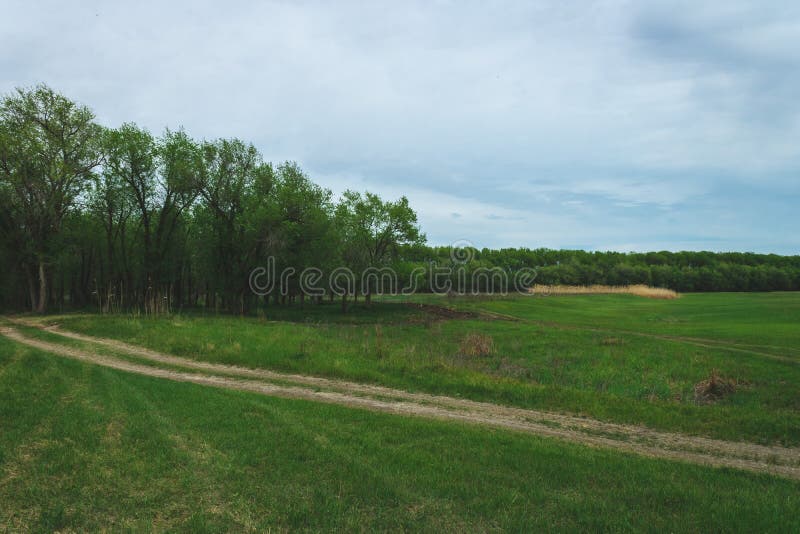 Frühlingslandschaft der Beschaffenheit von Russland Waldlandung nahe dem Fluss Gr?nes Gras und Stra?e Willkommen nach Russland lizenzfreie stockfotografie Frühlingslandschaft der Beschaffenheit von Russland Waldlandung nahe dem Fluss Gr?nes Gras und Stra?e Willkommen nach Russland lizenzfreie stockfotografie