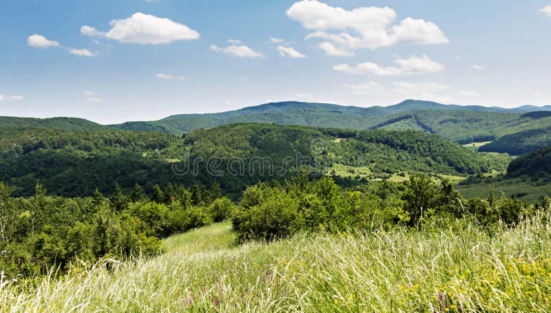 Frühlingssommer-Karpatenlandschaft mit grünem Dorffeld lizenzfreies stockfoto Frühlingssommer-Karpatenlandschaft mit grünem Dorffeld lizenzfreies stockfoto