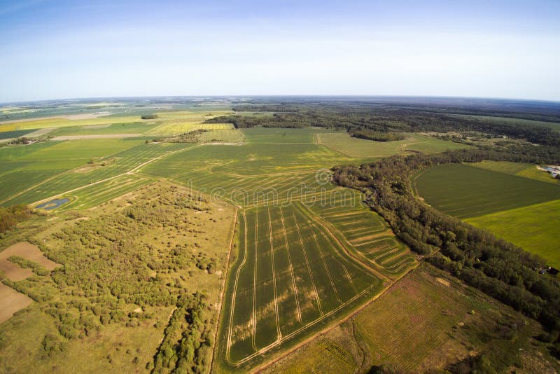 Nice spring day in latvian countryside. Nice spring day in latvian countryside.