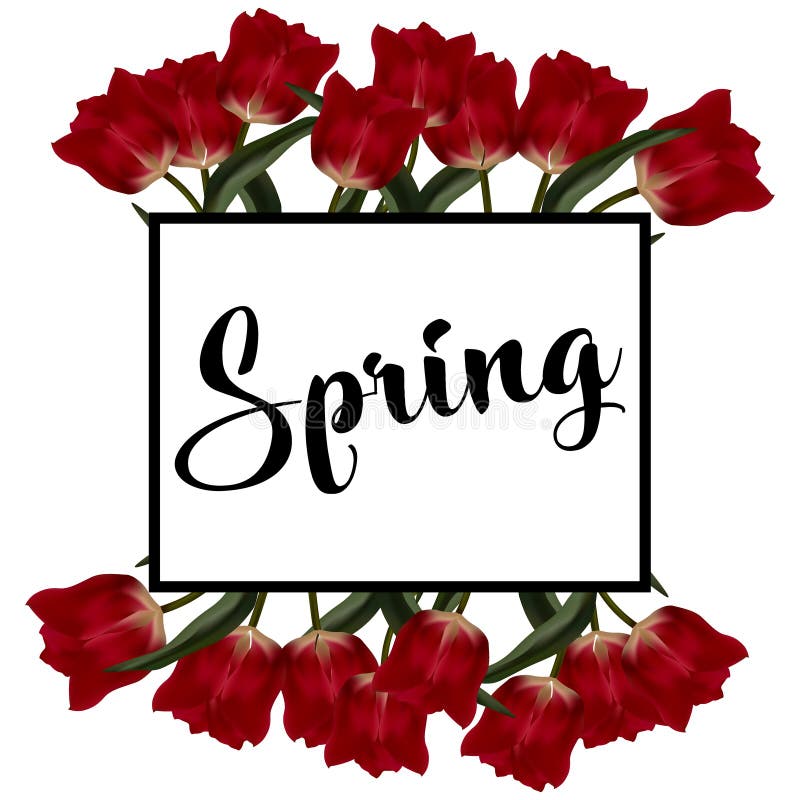 Frühlingstext mit Tulpenblume Auch im corel abgehobenen Betrag vektor abbildung Frühlingstext mit Tulpenblume Auch im corel abgehobenen Betrag vektor abbildung