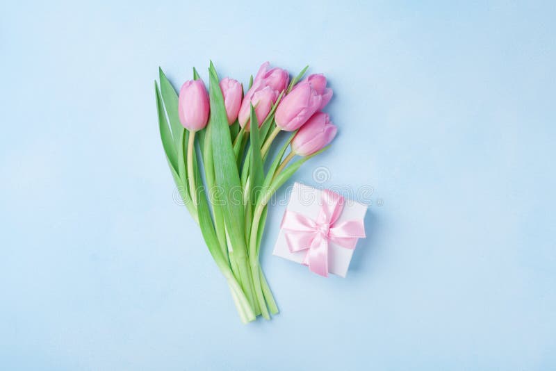 Frühlingstulpe blüht und Geschenkbox auf blauer Pastelltischplatteansicht Grußkarte für Geburtstags-, der Frau oder Mutter-Tag Fl lizenzfreie stockfotografie Frühlingstulpe blüht und Geschenkbox auf blauer Pastelltischplatteansicht Grußkarte für Geburtstags-, der Frau oder Mutter-Tag Fl lizenzfreie stockfotografie