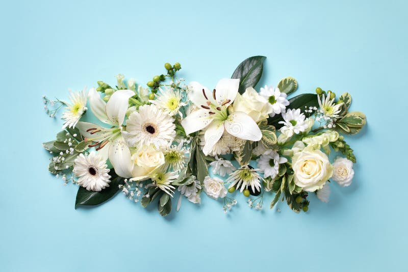 Frühlingszusammensetzung von weißen Blumen auf blauem Papierhintergrund mit Kopienraum Kreativer Plan Flache Lage Beschneidungspf stockbild Frühlingszusammensetzung von weißen Blumen auf blauem Papierhintergrund mit Kopienraum Kreativer Plan Flache Lage Beschneidungspf stockbild