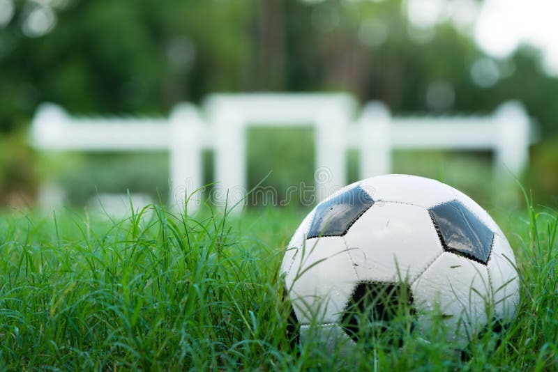 Fussball Futbol Auf Gras Stockfoto Bild Von Spiel Grun 57375050