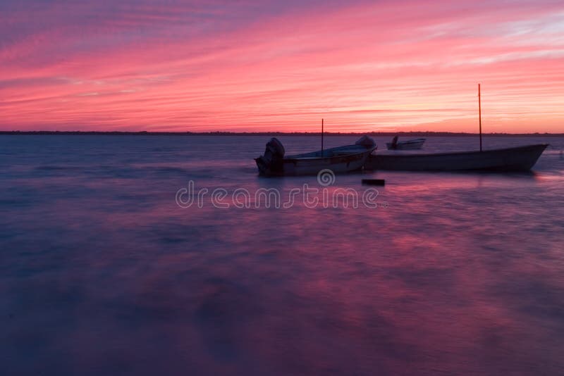 Fucsina di Altata fotografia stock libera da diritti Fucsina di Altata fotografia stock libera da diritti